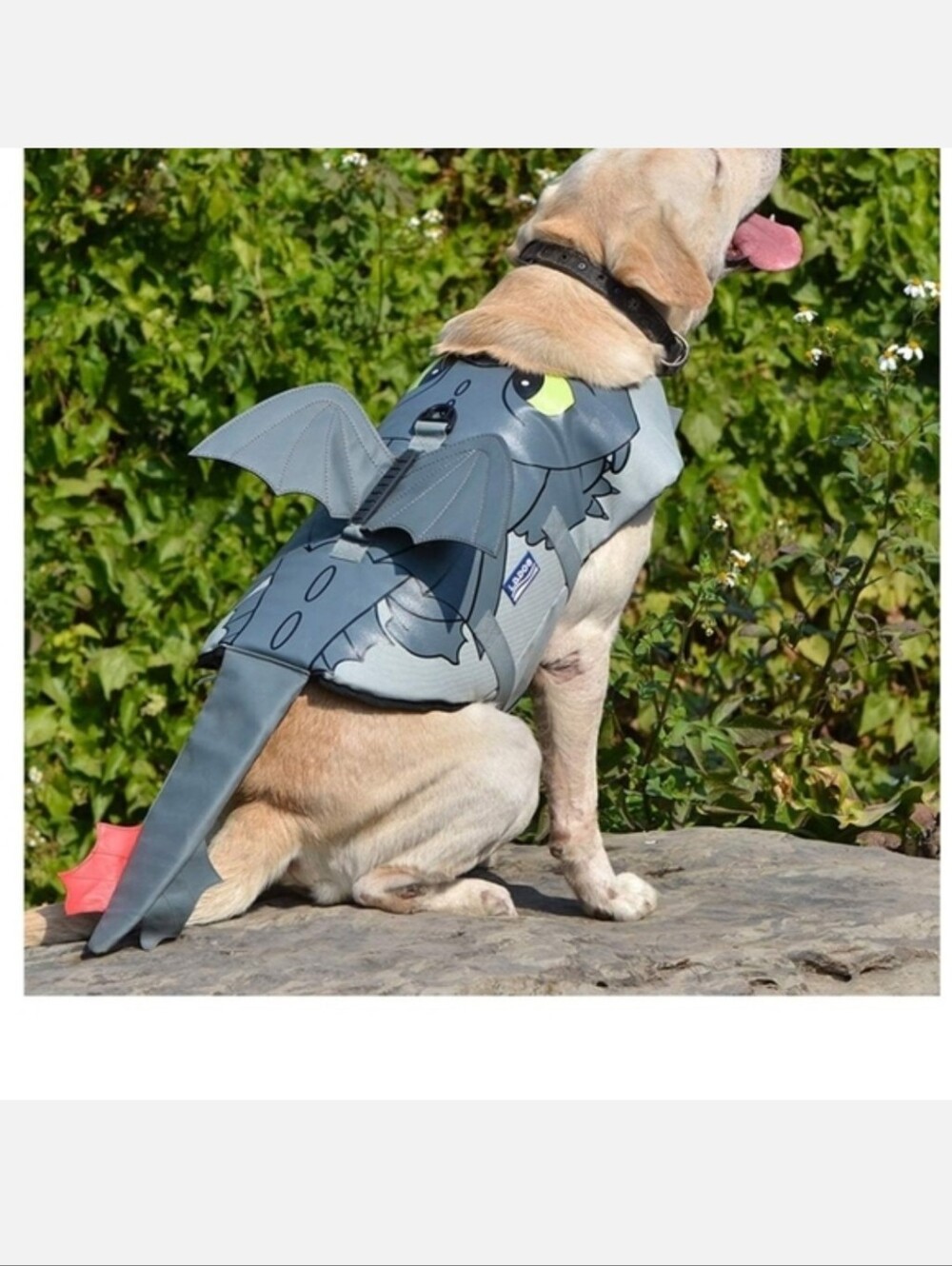 Pet Halloween Costume Dog Dragon Costume How To Train Your Dragon Toothless